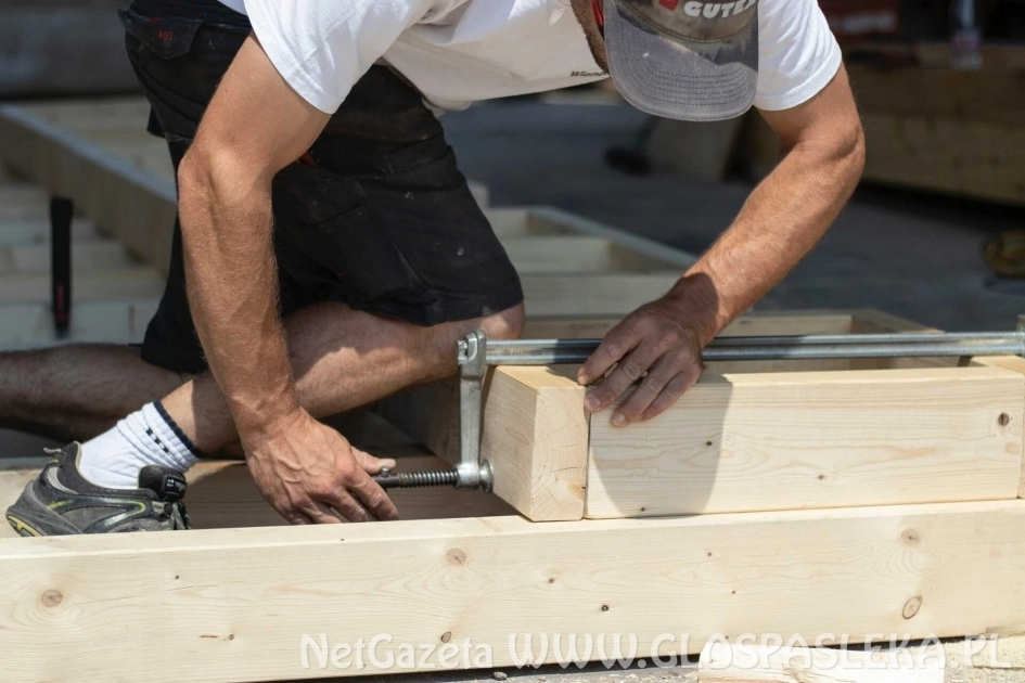 Najczęściej poszukiwane zawody we Francji