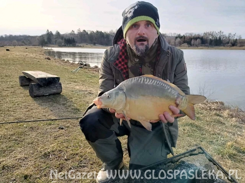Pierwsze karpie z Zakrzewka II