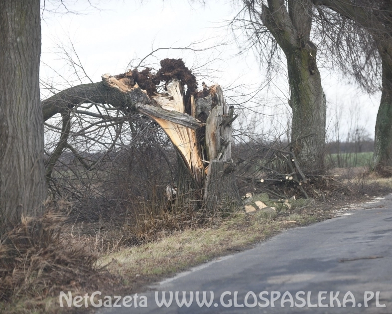 Interwencje strażaków