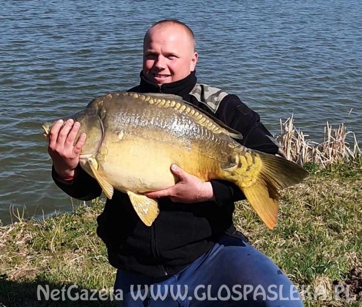 Karp na truskawkę i mielonkę