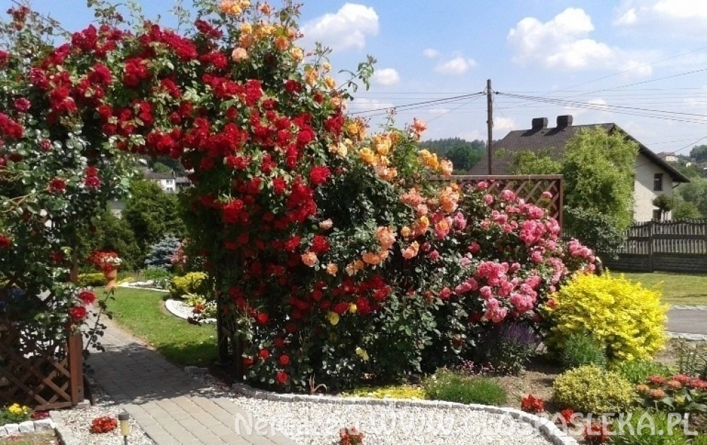 Zaproszenie do konkursów