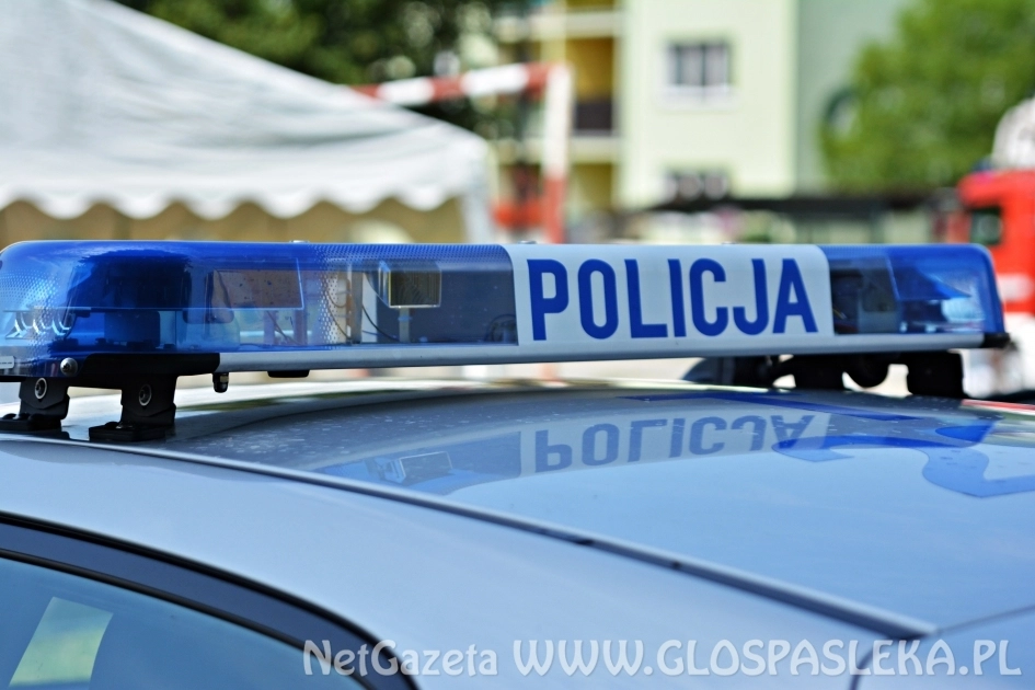 Ukradli 10 litrów lodów, a 25 litrów rozmrozili. Kryminalni zatrzymali podejrzanych 