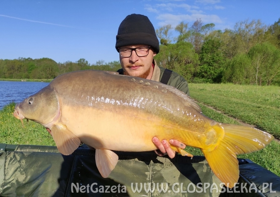 Karpie z Zakrzewka II