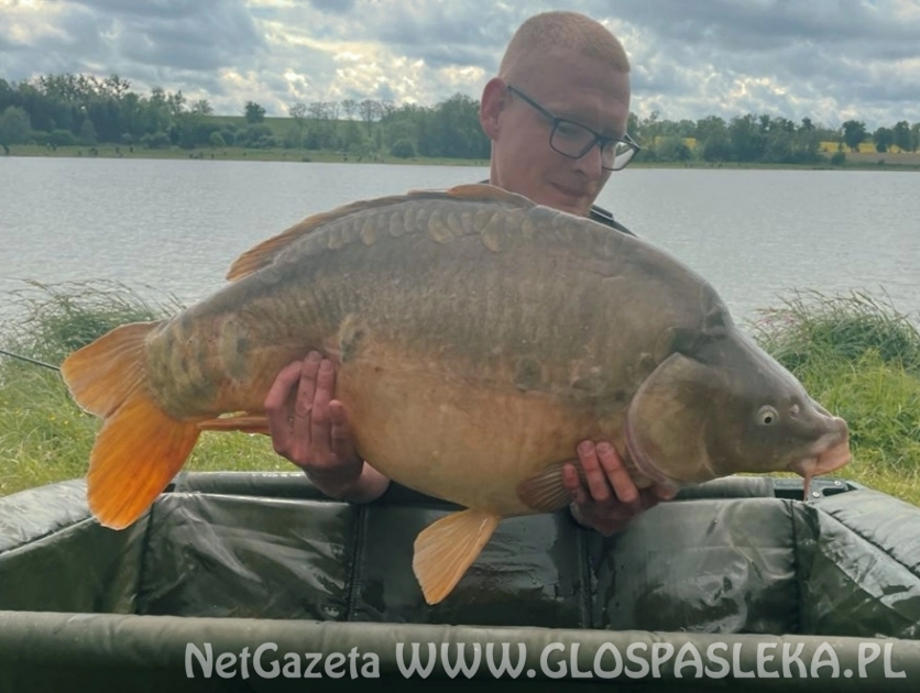 Karpi u nas dostatek