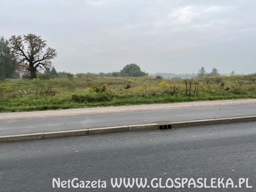 Oferty na koncepcję łącznika