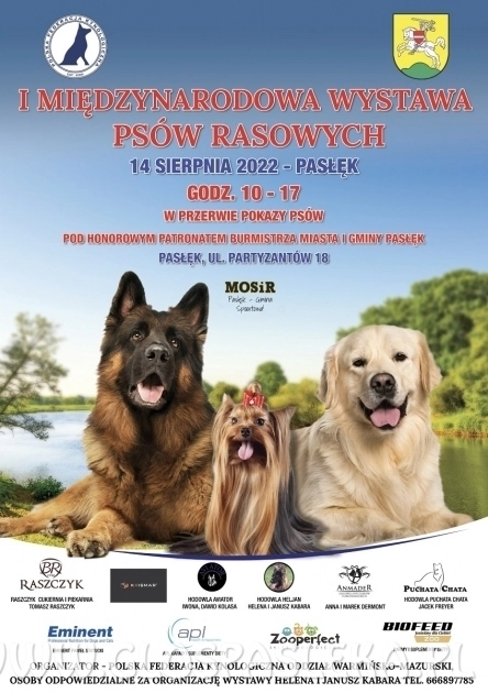 Przypominamy - Wystawa psów rasowych