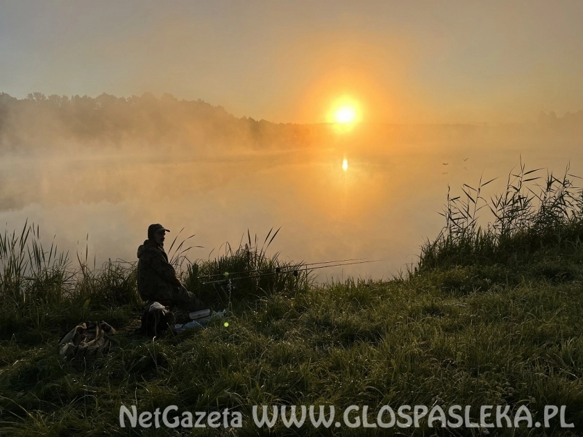 Pamiętamy o regulaminie