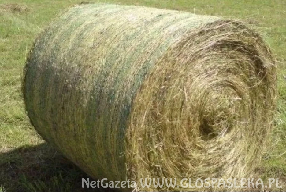 Apel Burmistrza Pasłęka