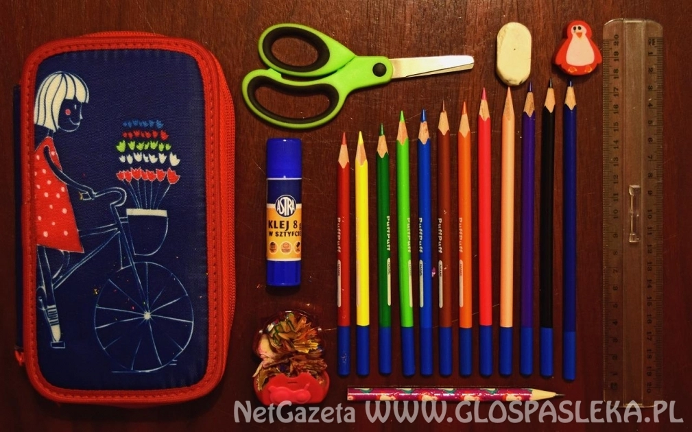 Niespełna  10 minut trwa złożenie wniosku o „Dobry start”