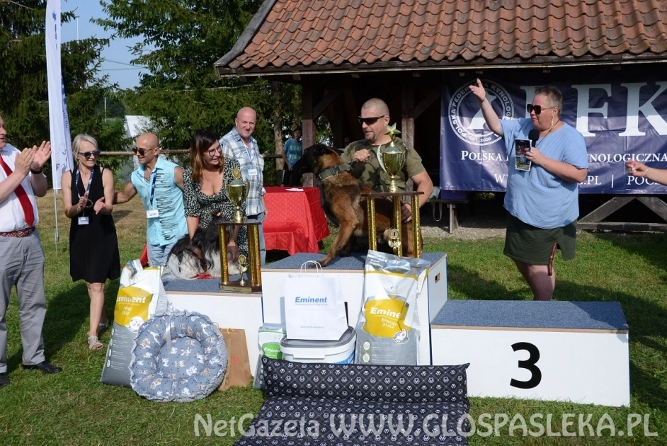 Owczarek belgijski czempionem Wystawy Psów Rasowych