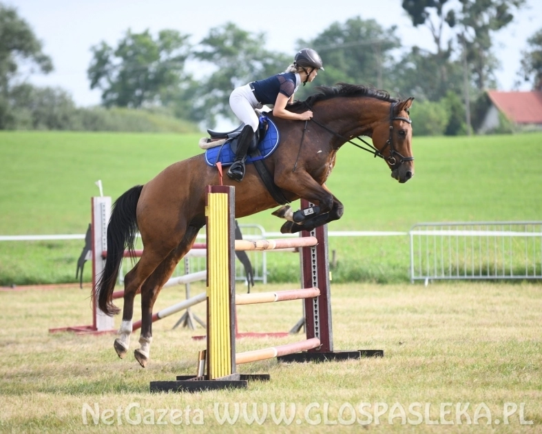 Zawody konne na terenie kąpieliska