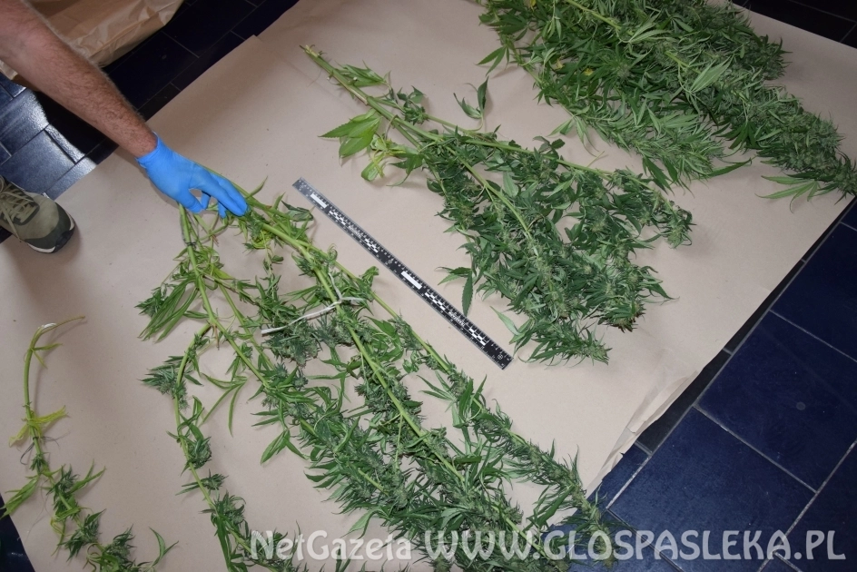 Pasłęk: Nachodził byłą partnerkę, trafił do aresztu