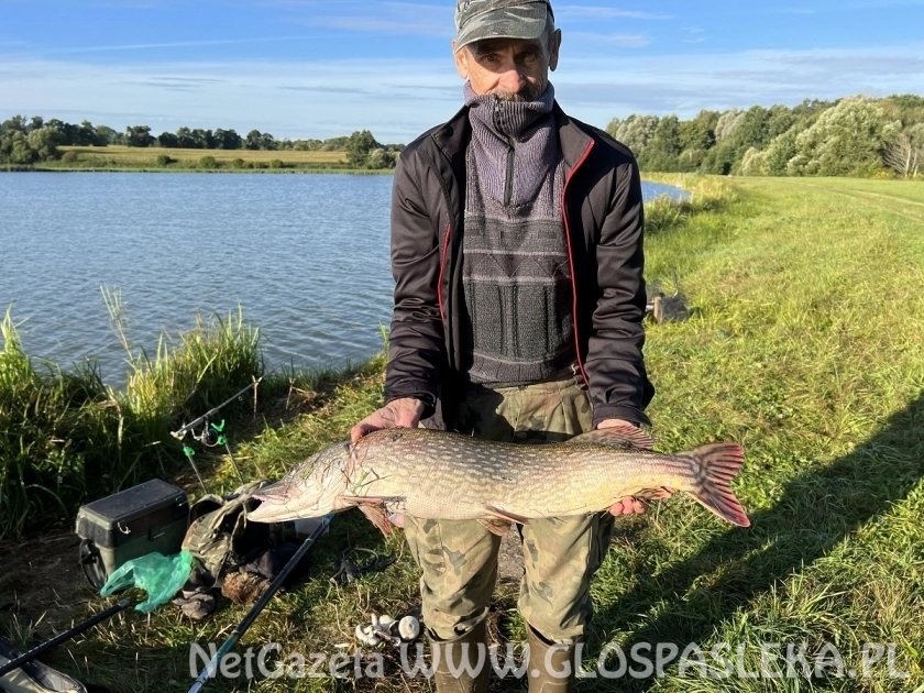 Szczupak na kulkę proteinową