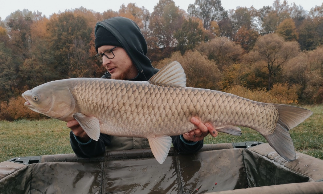 Ostatki na Zakrzewku II