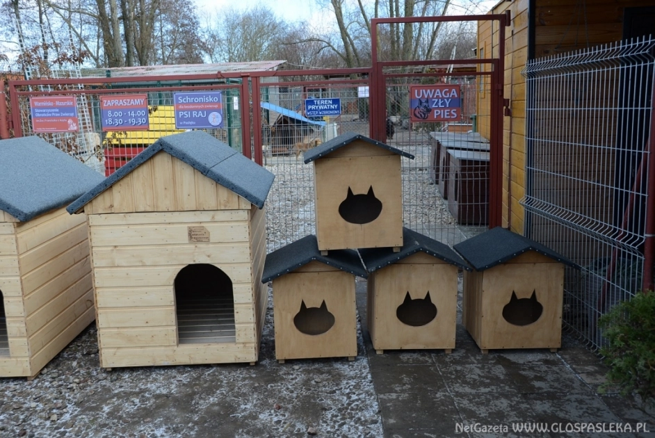 Nagroda i akt oskarżenia