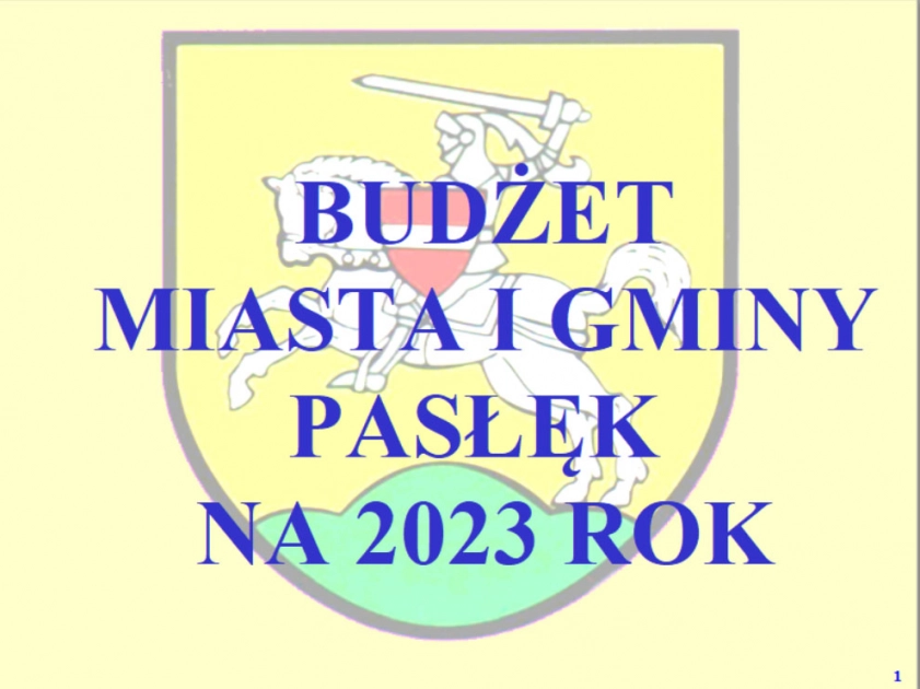 Budżet gminy w szczeg&oacute;łach