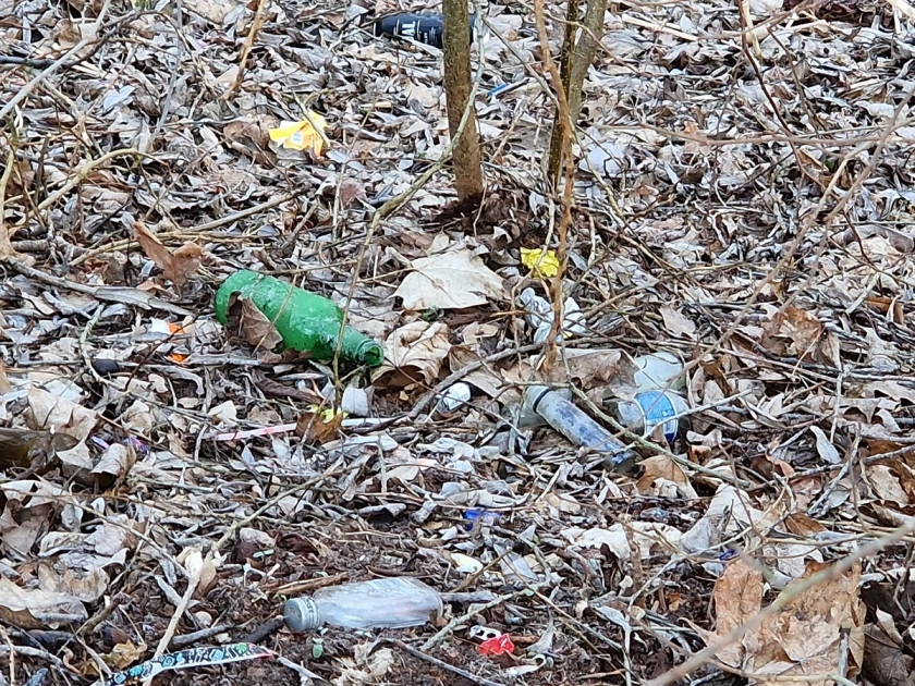 Wiosenne sprzątanie