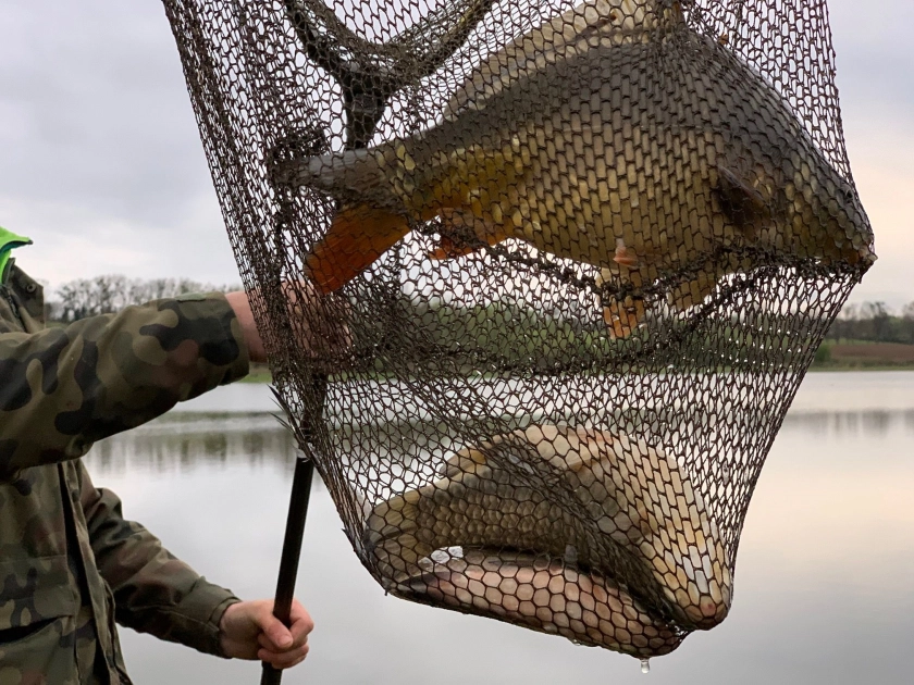 Zakrzewko II - karnety można już kupić