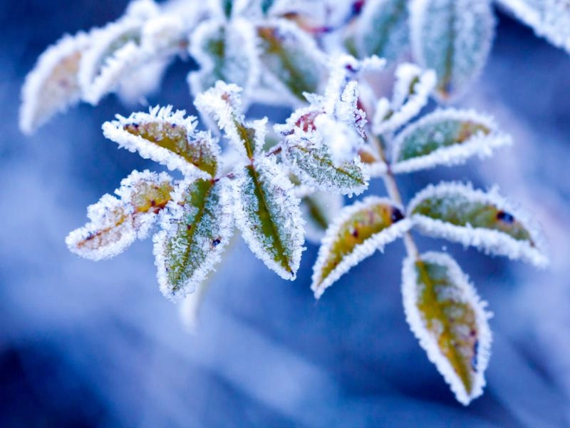 PROGNOZA NIEBEZPIECZNYCH ZJAWISK METEOROLOGICZNYCH