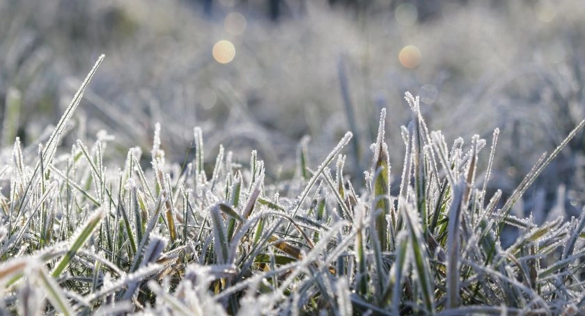 PROGNOZA NIEBEZPIECZNYCH ZJAWISK METEOROLOGICZNYCH