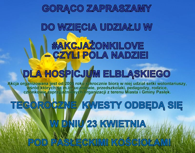 Żonkilowe Pola Nadziei już w niedzielę !!!