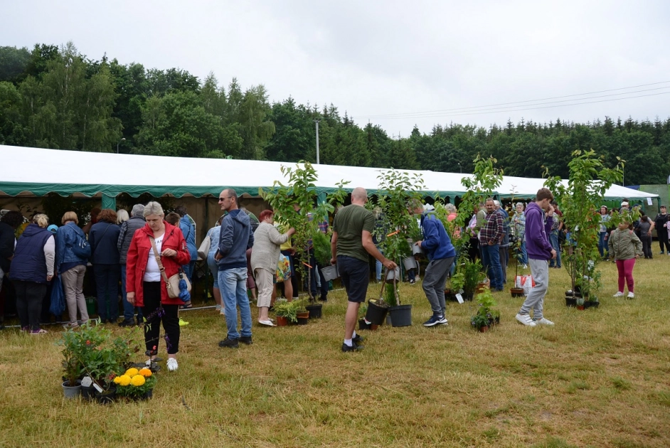 IX Festyn Ekologiczny - spore zainteresowanie