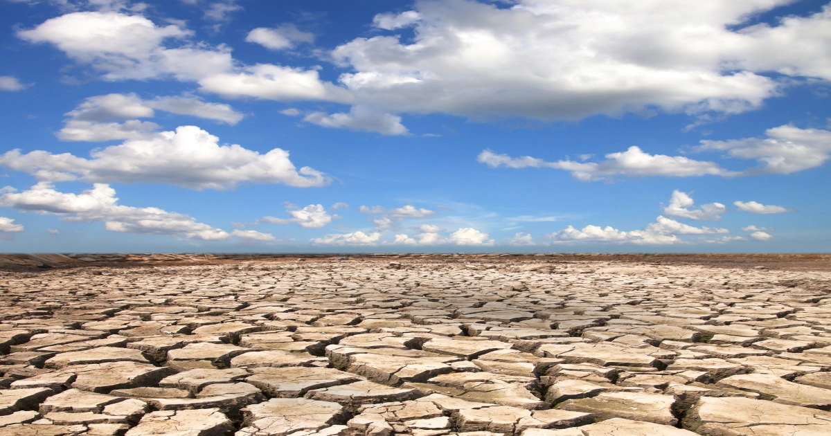 Szacowanie strat w związku z wystąpieniem suszy