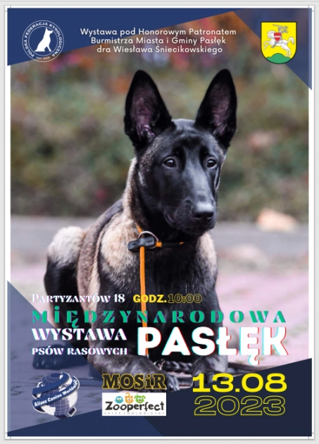 Międzynarodowa wystawa psów rasowych