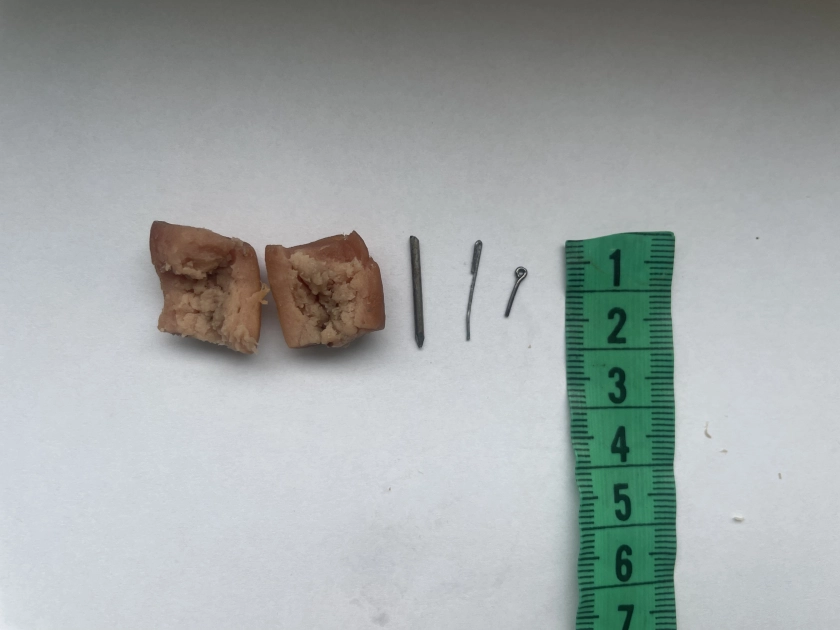 KTO TRUJE PSY W PASŁĘKU? 