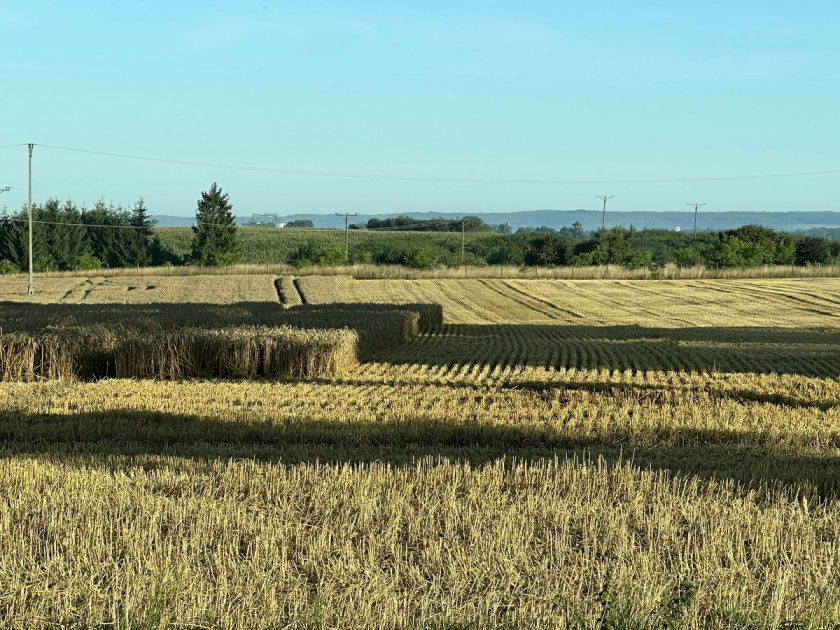 Susza – szacowanie strat