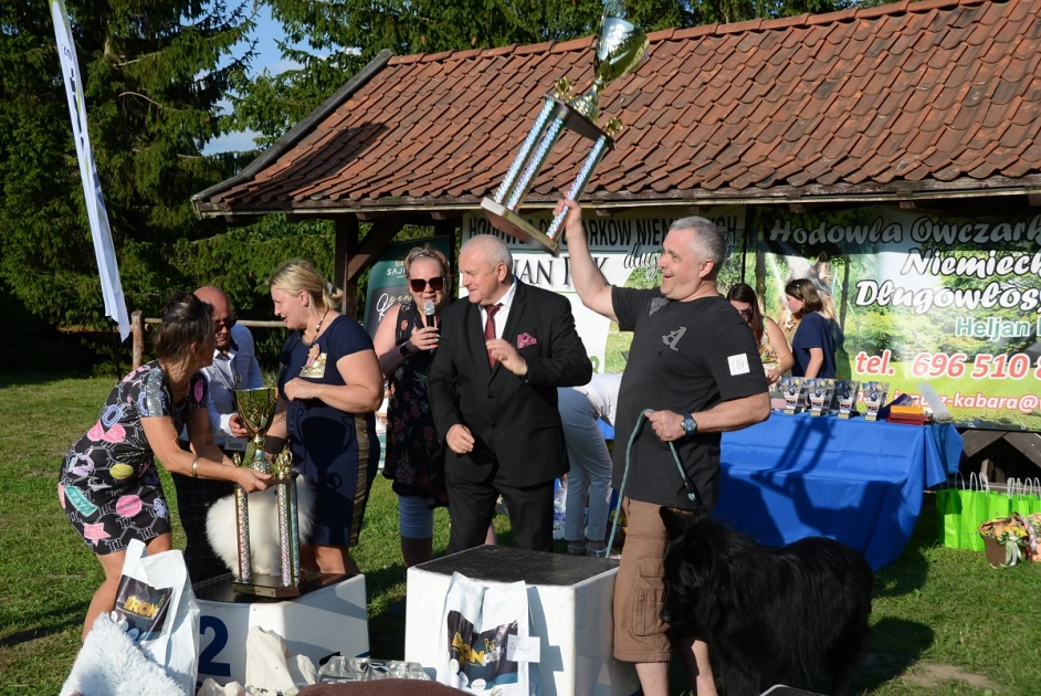 Wystawa Psów Rasowych - owczarek staroniemiecki najlepszy