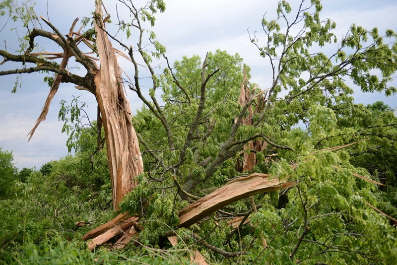 PROGNOZA NIEBEZPIECZNYCH ZJAWISK METEOROLOGICZNYCH