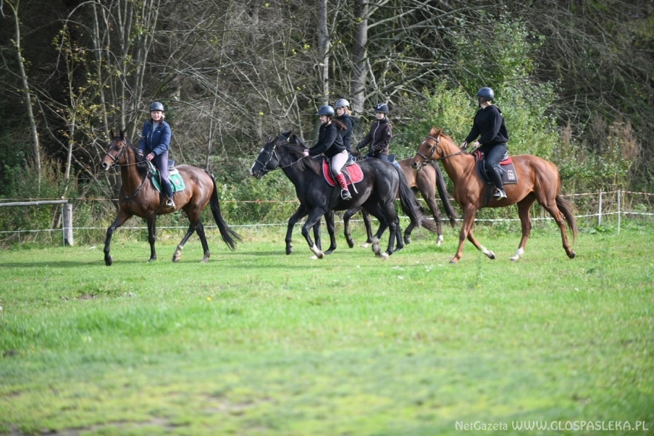 Zaproszenie na „Hubertusa”