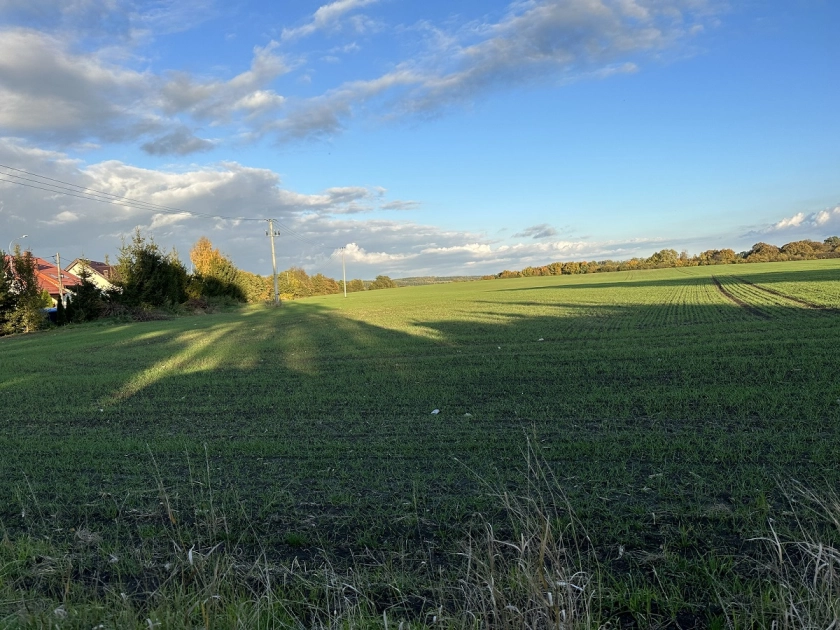 Społeczna Inicjatywa Mieszkaniowa – pierwsze budynki w 2024 roku