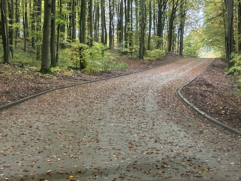 Nowa droga do pochylni Buczyniec