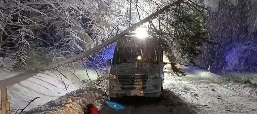 Drzewo spadło na autobus