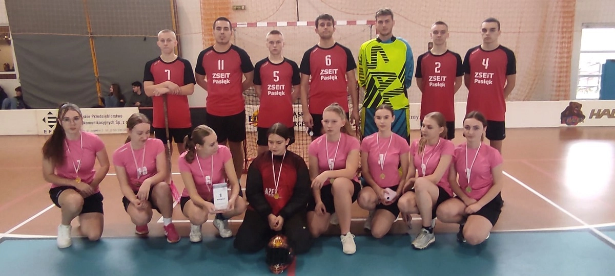 SPORTOWE SUKCESY ZSEiT