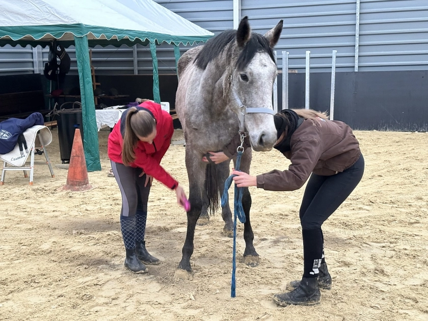 Uwaga adepci jeździectwa