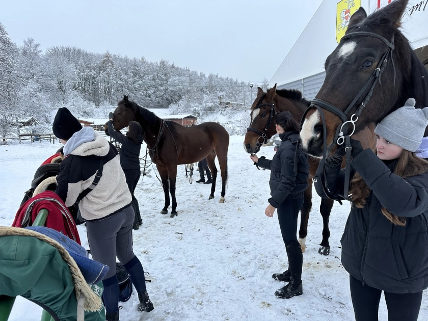 Ferie w Siodle - przygotowane przez Miejski Ośrodek Sportu i Rekreacji w Pasłęku