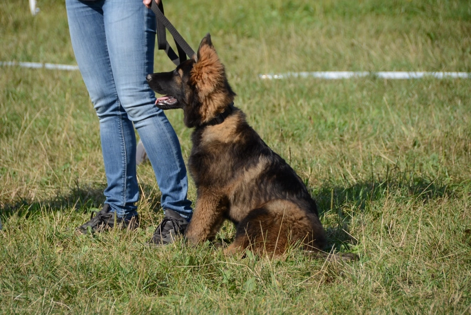 Wyniki Otwartego Konkursu Ofert Na Realizację Zadań Publicznych Na Rok 2024