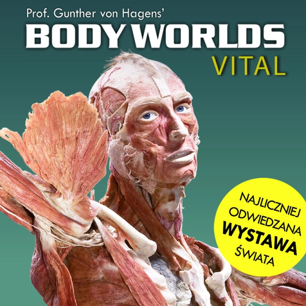 Niepowtarzalna lekcja anatomii i fizjologii ludzkiego organizmu