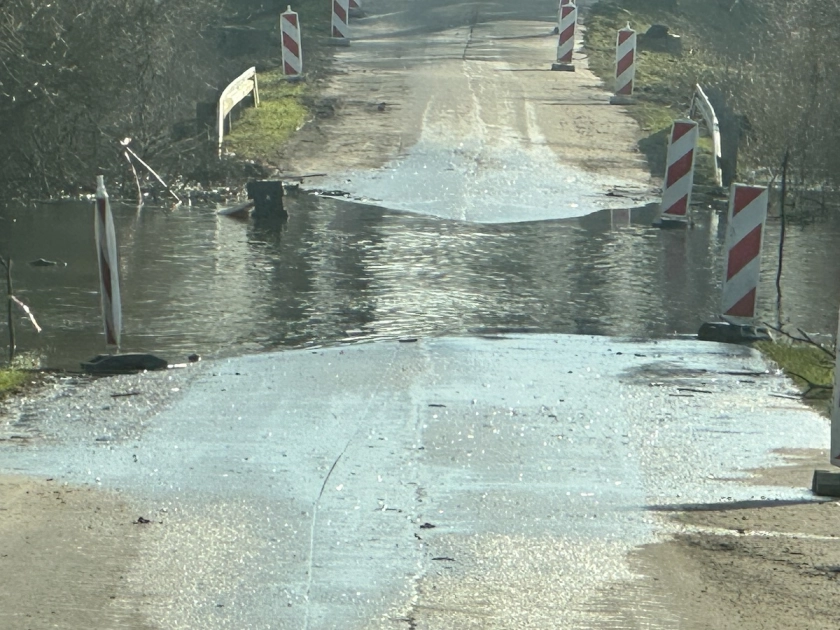 Ptactwo wodne się cieszy