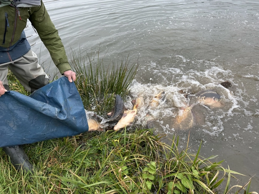 Zakrzewko II od 1 kwietnia