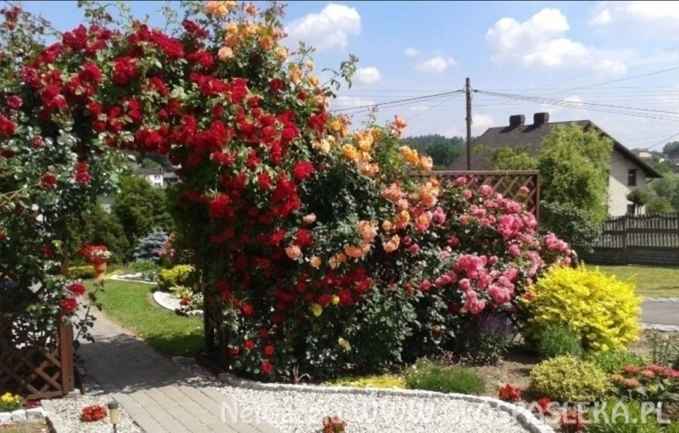 Burmistrz Pasłęka zaprasza 