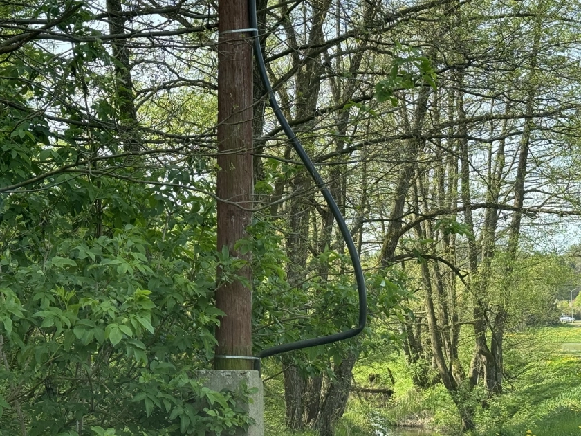 Młodzież się bawi