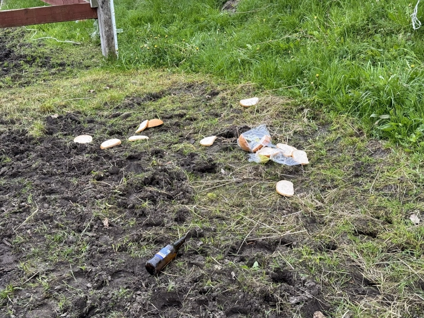 Mandat za bałagan po imprezie