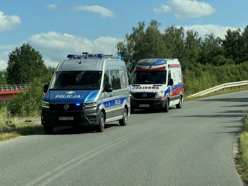 Minął weekend - kolizje ze zwierzętami