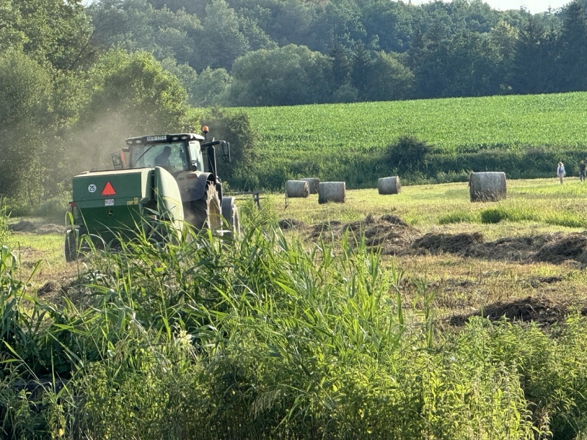 Sianokosy na Zakrzewku i paintball