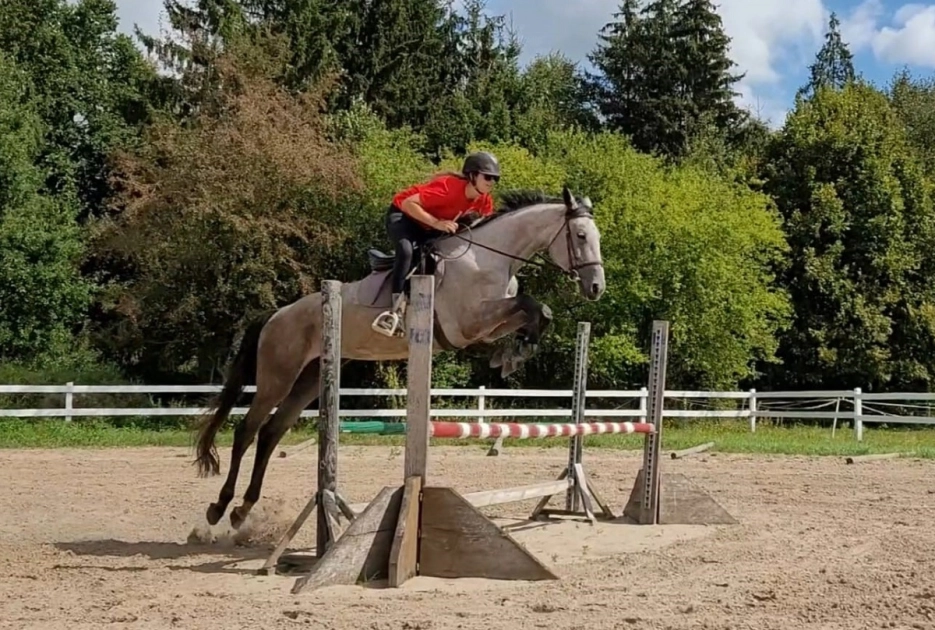 Ostatni tydzień wakacji w siodle