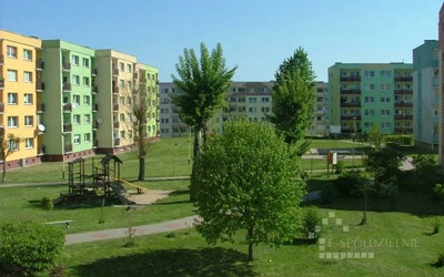 Konkurs na stanowisko Prezesa Zarządu